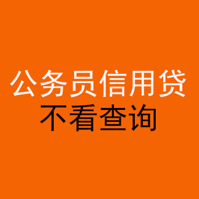 卫滨公务员信用贷款